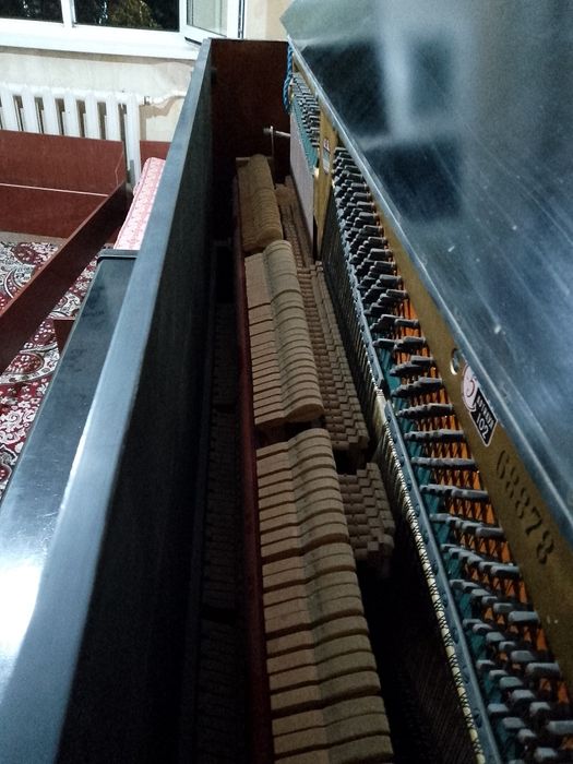 Poanino holati yaxshi srochno sotiladi narx kelishilad