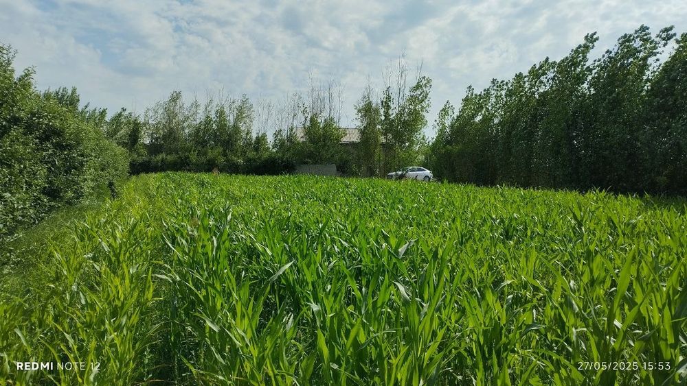 20 соток уй жой сотилади 20 sotix yu joy sotiladi