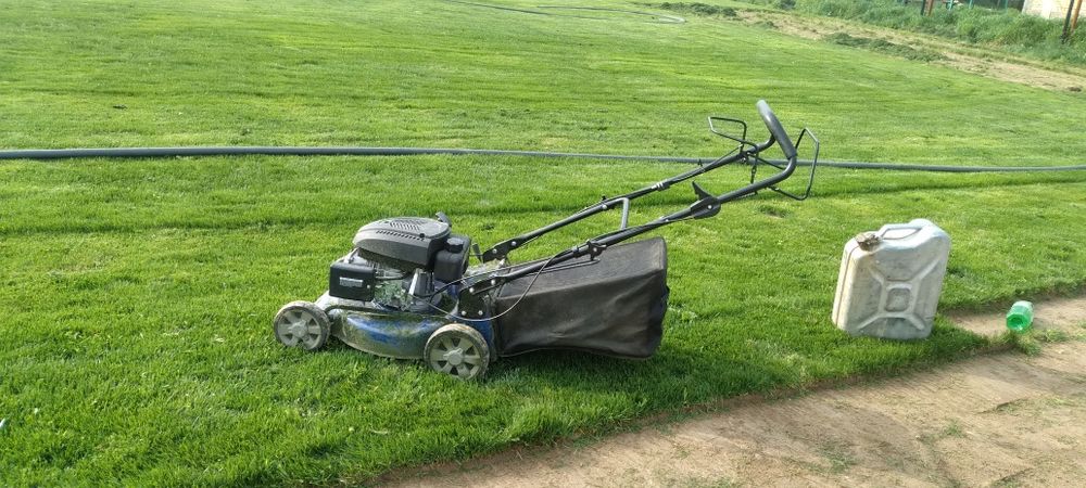 Gazon kasilka oramiz