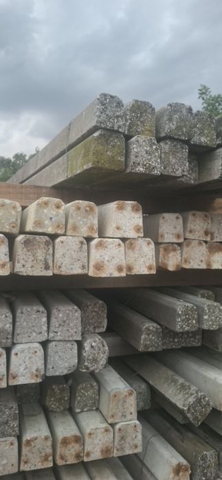 Stâlpi, spalieri 3 m