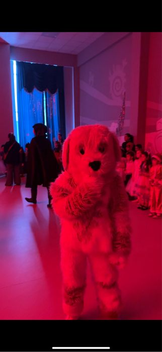 Ростовые куклы . Костюмы ! Продам!!!