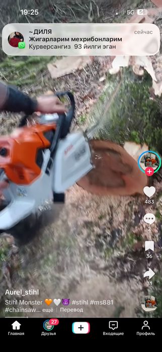 пилим дерева быстро не дорога