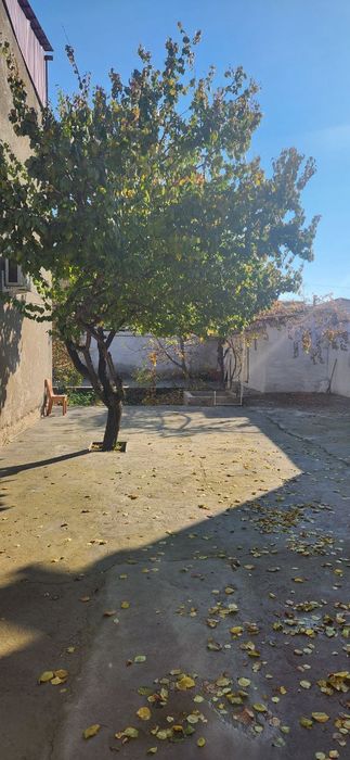 Аренда дома Мотрид