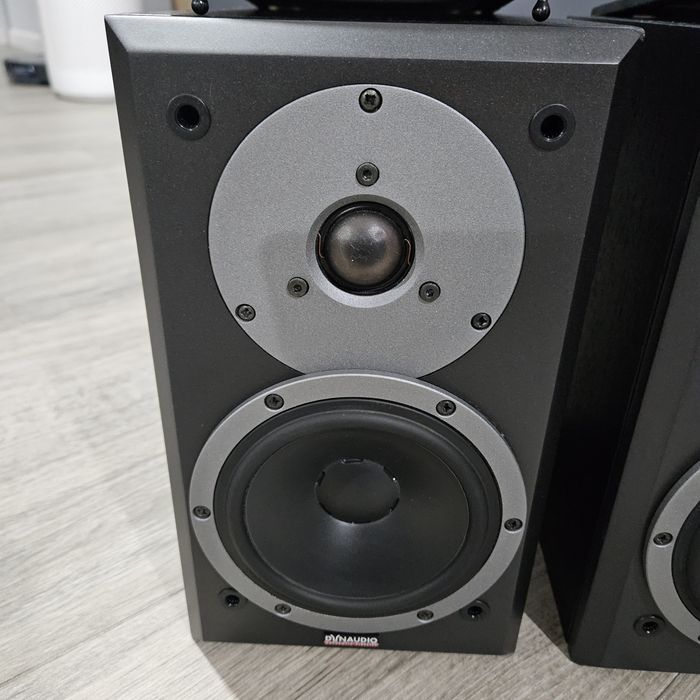 Boxe de raft Dynaudio DM 2/6