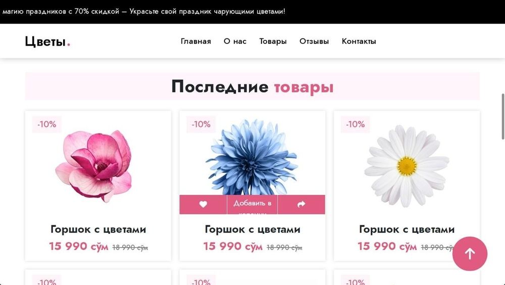 Создание профессиональных сайтов для бизнеса