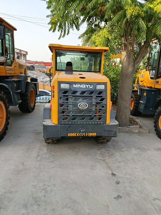 Pagruzchik Mingyu Brend