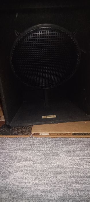 Subwofer profesional