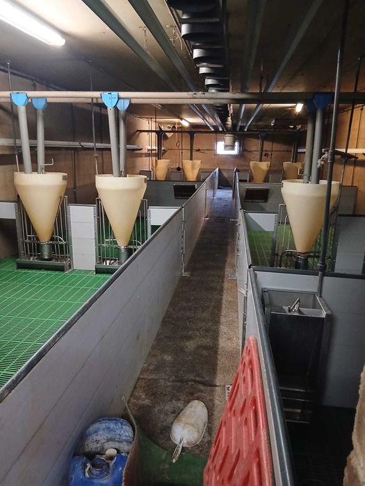 Boxe pentru fătare și furajare de vânzare