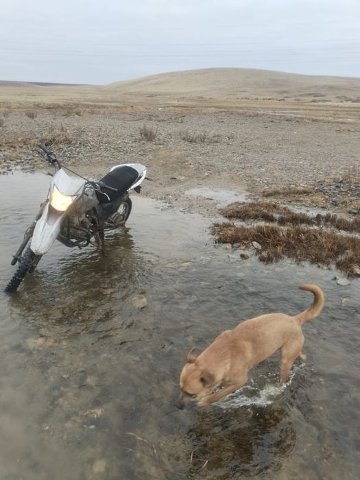 Продам Racer 250 эндуро