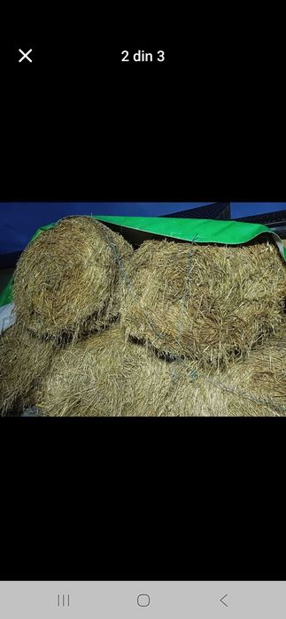 Vând baloți de paie