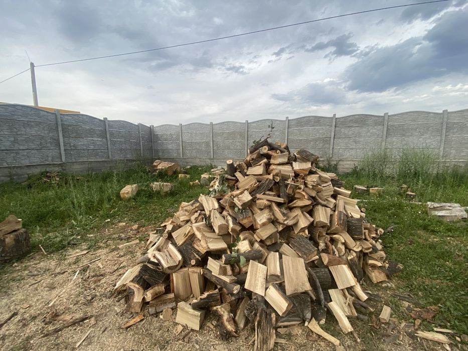 Дрова карагач