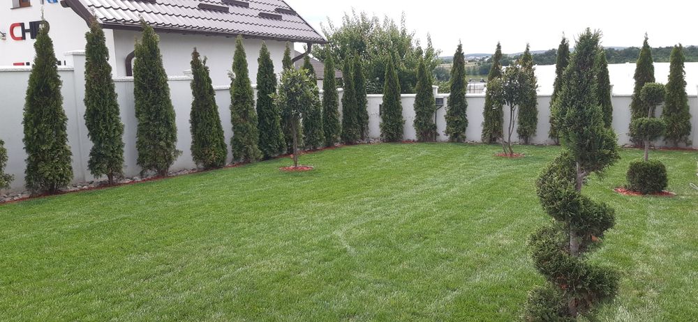 Gazon rulou, amenajare și întreținere spatii verzi!!!