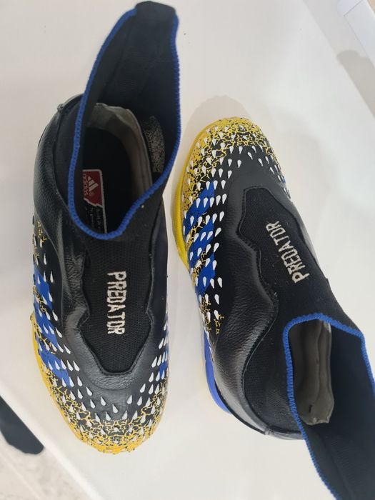 Сороконожка децкий