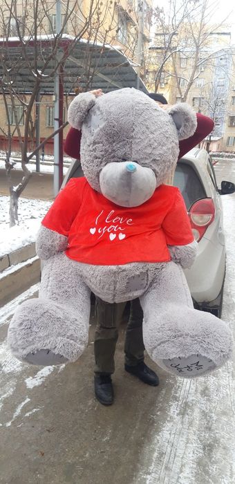 Orginal Teddy +Bonus Yana Bitta Teddi