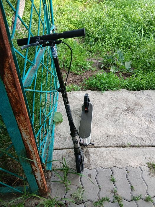 Самокат обычный.