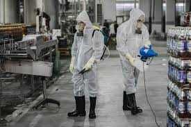 Дизинфекция  Дезинсекция от клопов и тараканов уничтожение