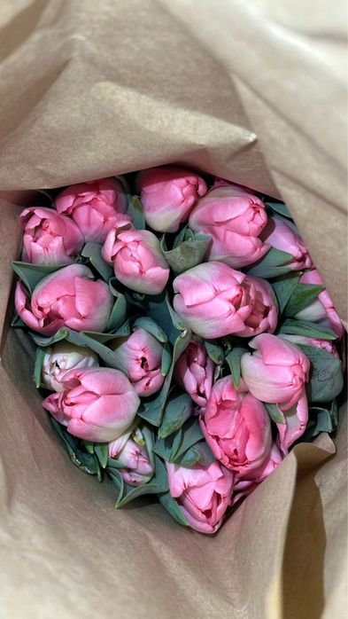 Тюльпан Оптом Астана