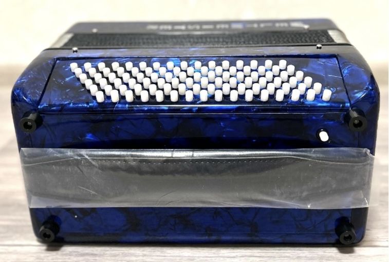 Баян, Weltmeister