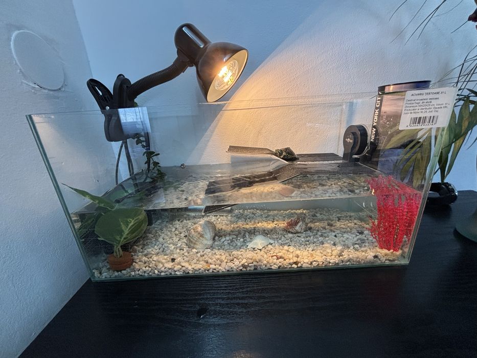 Acvariu broaste testoase/pesti