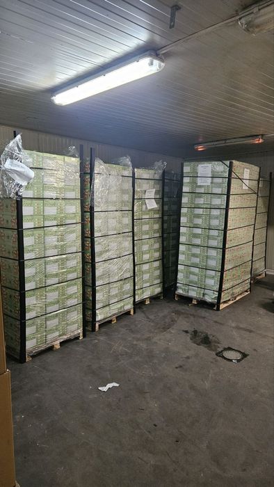 Сушена райска ябълка кашон 5кг.