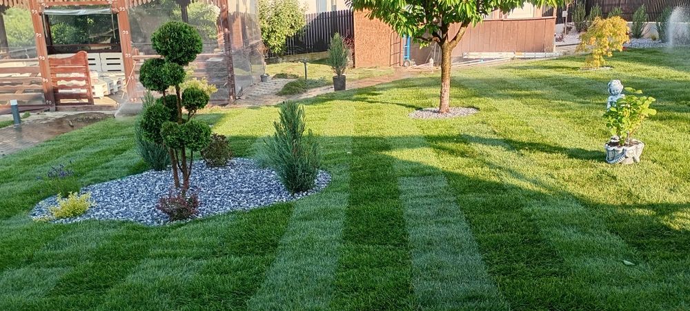 Toaletare,amenajare și întreținere spatii verzi