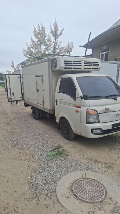 Kareyiski marazilnik -35 -40 gradusnik