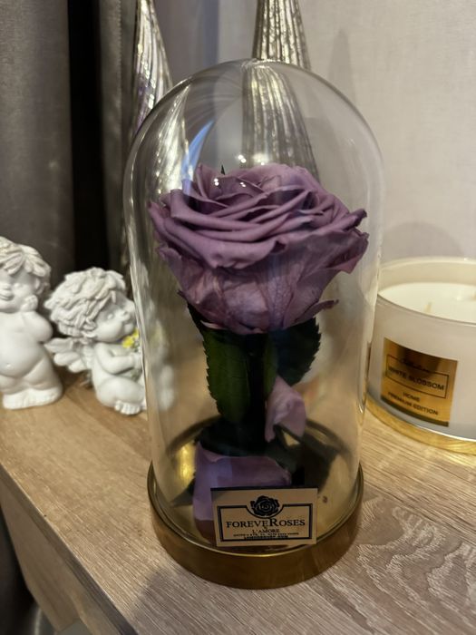 Вечна роза в стъкълница