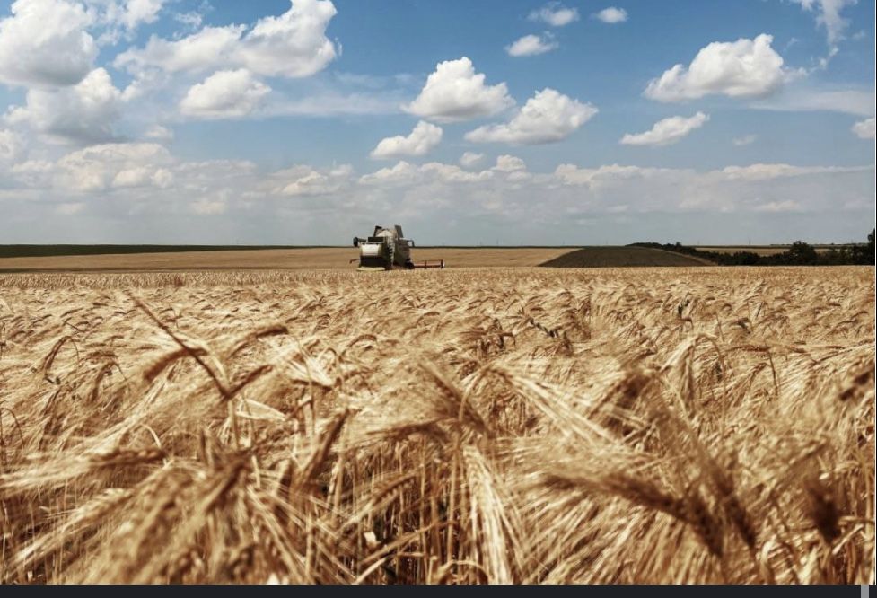 Продается  КХ, посевная пашня