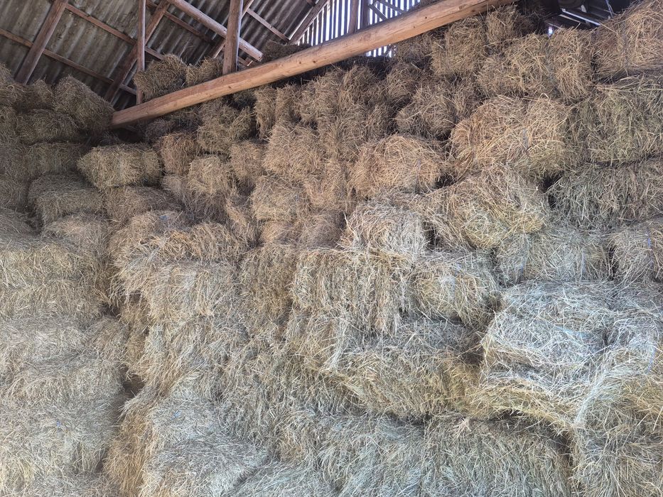 Baloti fan  de vanzare