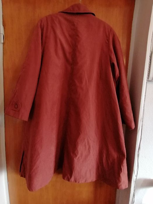 Pardesiu de primavara / toamna