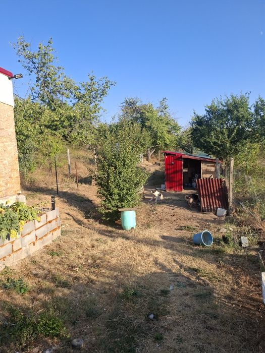 Земя -лозе над с. Енина с малка постройка