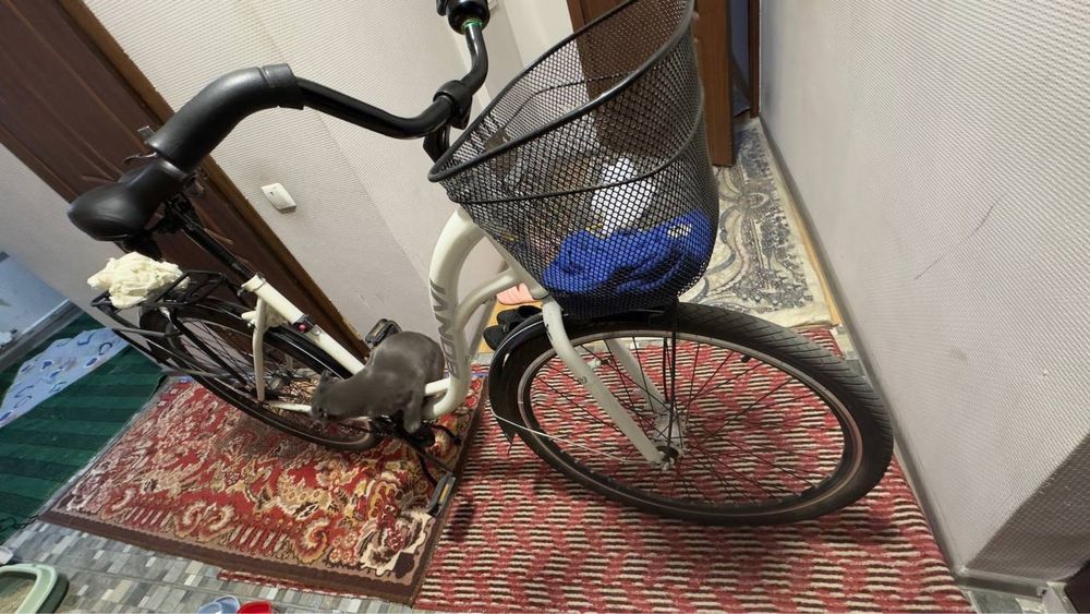 Velosiped 28 diska ideal sastayanada kam haydalgan