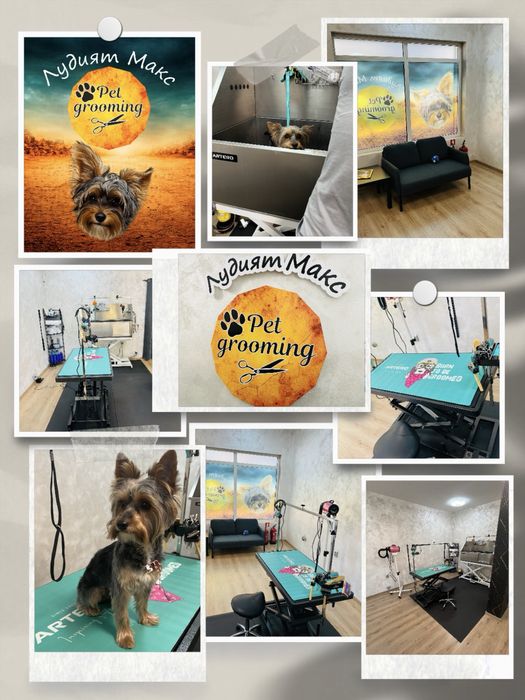 ЛУДИЯТ МАКС  Груминг салон за домашни любимци