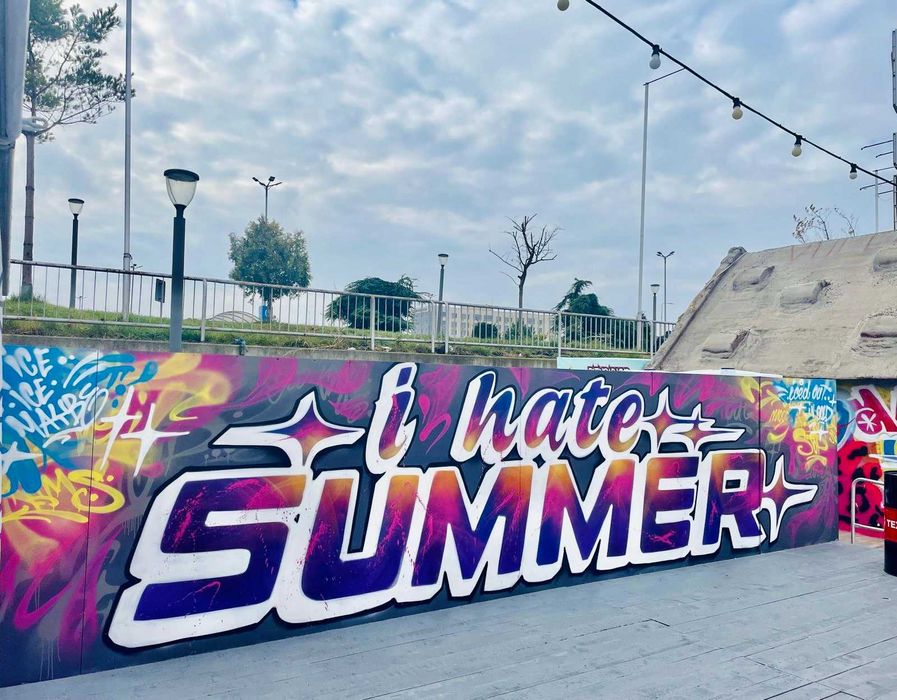 Graffiti / picturi pe pereti - spatii private, spatii comerciale