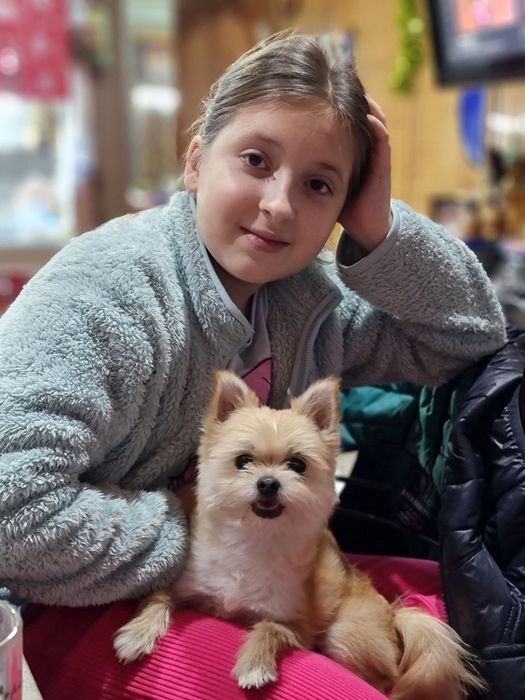 Передержка собак