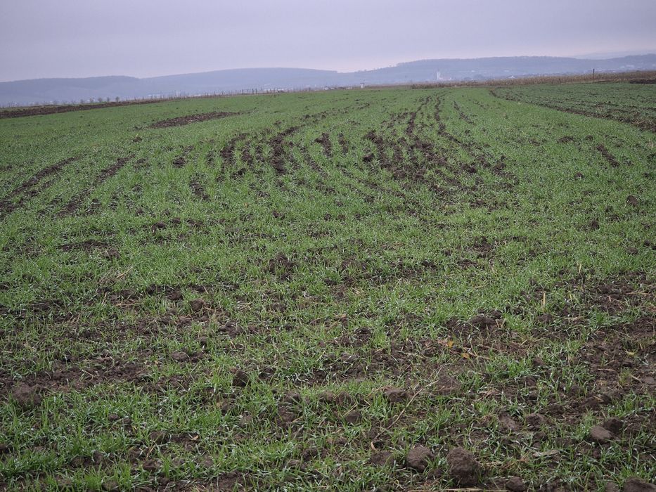 Vând teren GURA RAULUI
