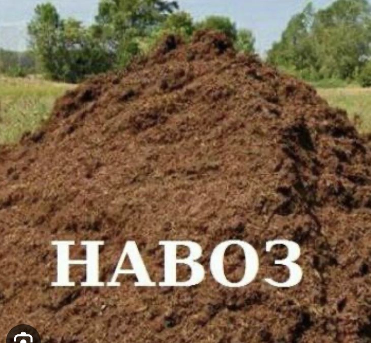НАВОЗ перегной хороший