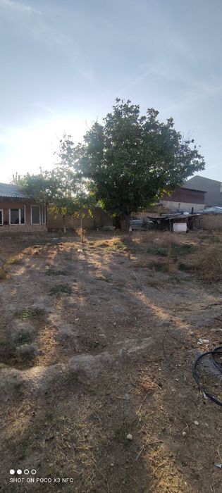 Uy sotiladi 13 sotix