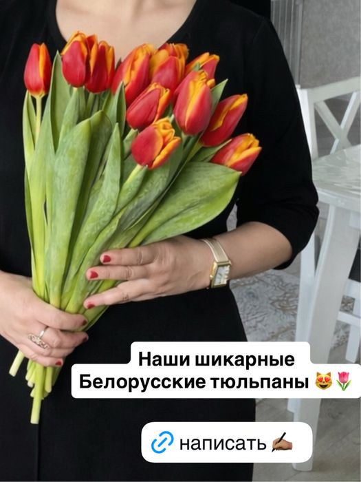 Тюльпаны Белорусские
