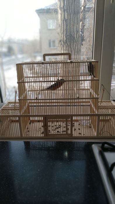 Продам клетку для птиц