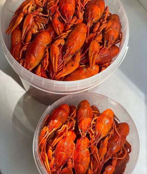 Клешни краба,камчатский краб,раки,красная икра