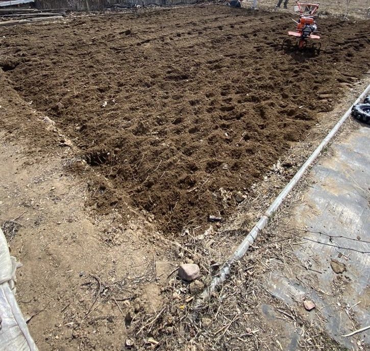 Услуги культиватора