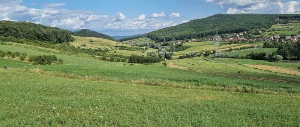Teren extravilan