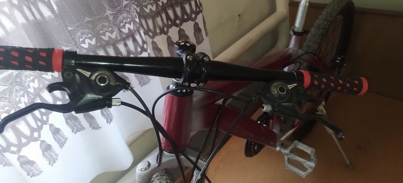 торг ест kelishiladi