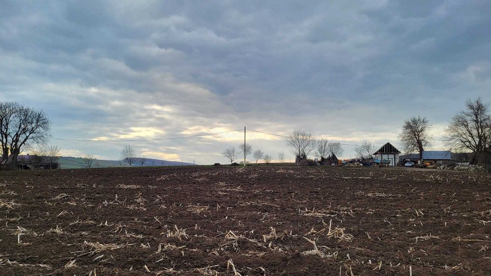 5400 mp intravilan construibil, 30m deschidere, Curent la teren, CU eliberat, Bucovina Mica Iasi