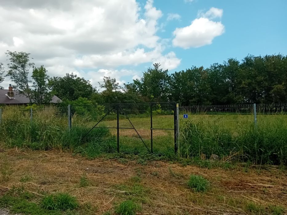 Teren intravilan 1649 m²