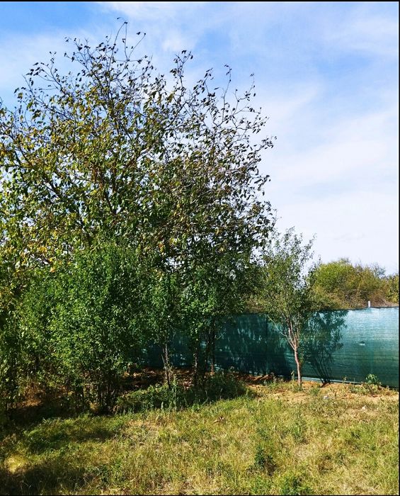 Продава се Къща в с. Лиляч, Област Кюстендил - 40 кв.м за 1275 €/кв.м - Снимка #6