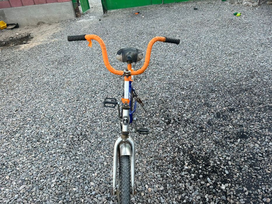 Даусы сапада озим аидагам