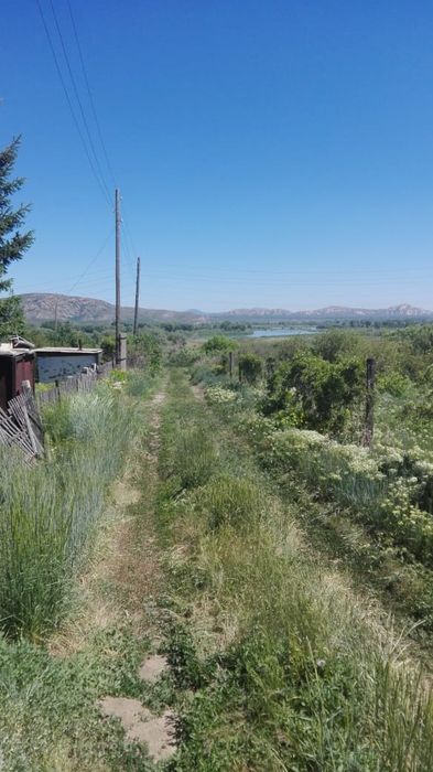 Продам дачу на берегу Иртыша