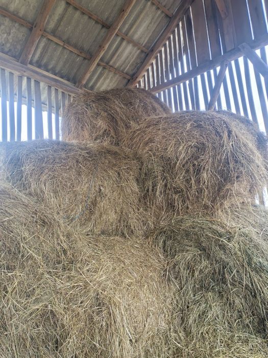 Vand baloti de lucerna